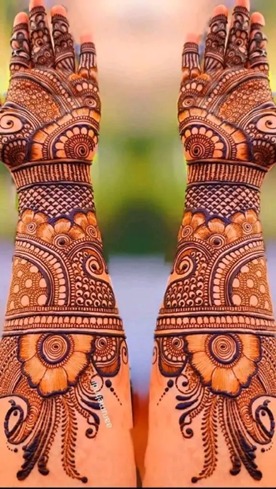 Traditional Indian Mehndi Design